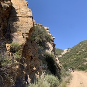 User avatar for Adam Poelman