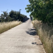 User avatar for Carol Studer