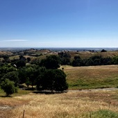 User avatar for Jarrod Hodgson