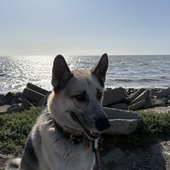 User avatar for Andrew O'Connor