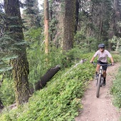 User avatar for Kayla Souza