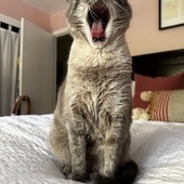 User avatar for Blake Wood