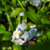 User avatar for Chelsea Z