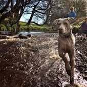 User avatar for Shana Henriques