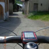 User avatar for Peter Daly