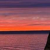 User avatar for Barbara Scott