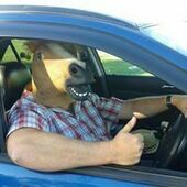 User avatar for Adam Martin