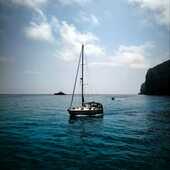 User avatar for Al Be