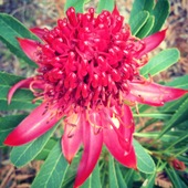 User avatar for Jessica Douglas