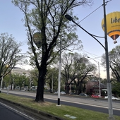 User avatar for Max Massingham