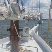 User avatar for Sarah Fowler