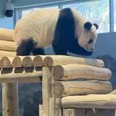 User avatar for Mechelle Lesher