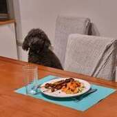 User avatar for David Hawking