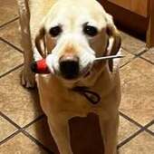 User avatar for John Newton