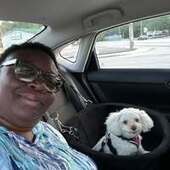 User avatar for Angela Sanders