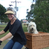 User avatar for Deborah Clifford