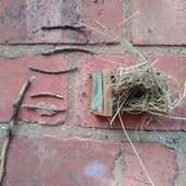 User avatar for Danielle Beckner