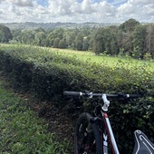 User avatar for Mrs Britten .