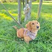 User avatar for Ella Clifford