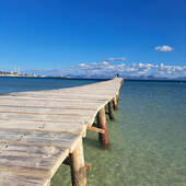 User avatar for Sarah B