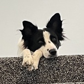 User avatar for Angela Mader