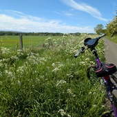 User avatar for Sarah M