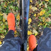 User avatar for Simon Young