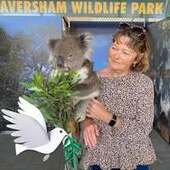 User avatar for Dawn Diamond