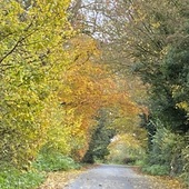 User avatar for Deborah Jaunai-Recardo