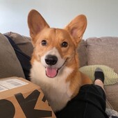 User avatar for Kendele Boyce