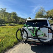 User avatar for Michele Serda