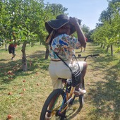 User avatar for Peshy Peshy