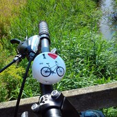 User avatar for Barbara Zub