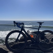 User avatar for Ron Larkin