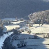 User avatar for Stevo dog