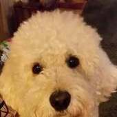 User avatar for Fran Ralph