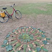 User avatar for Andreea Revnic