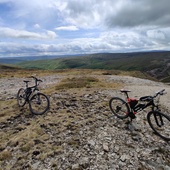 User avatar for Jon Timmins