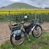 User avatar for Maximilian Koelle