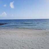 User avatar for Davina Mckenzie