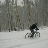 User avatar for Andrew Sharpe