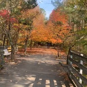 User avatar for Adam Bruns