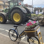 User avatar for Susan Green