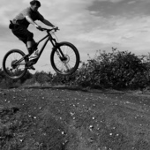 User avatar for Andrew Beattie