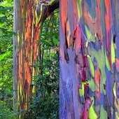 User avatar for Antje Dun