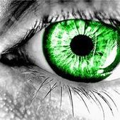 User avatar for Helen Culver