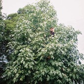 User avatar for Calum Alexander