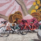 User avatar for Delwyn Graham