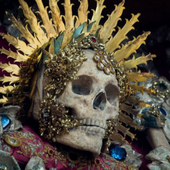 User avatar for Darren Brasher