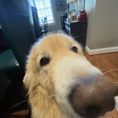 User avatar for Andrew Sarphie